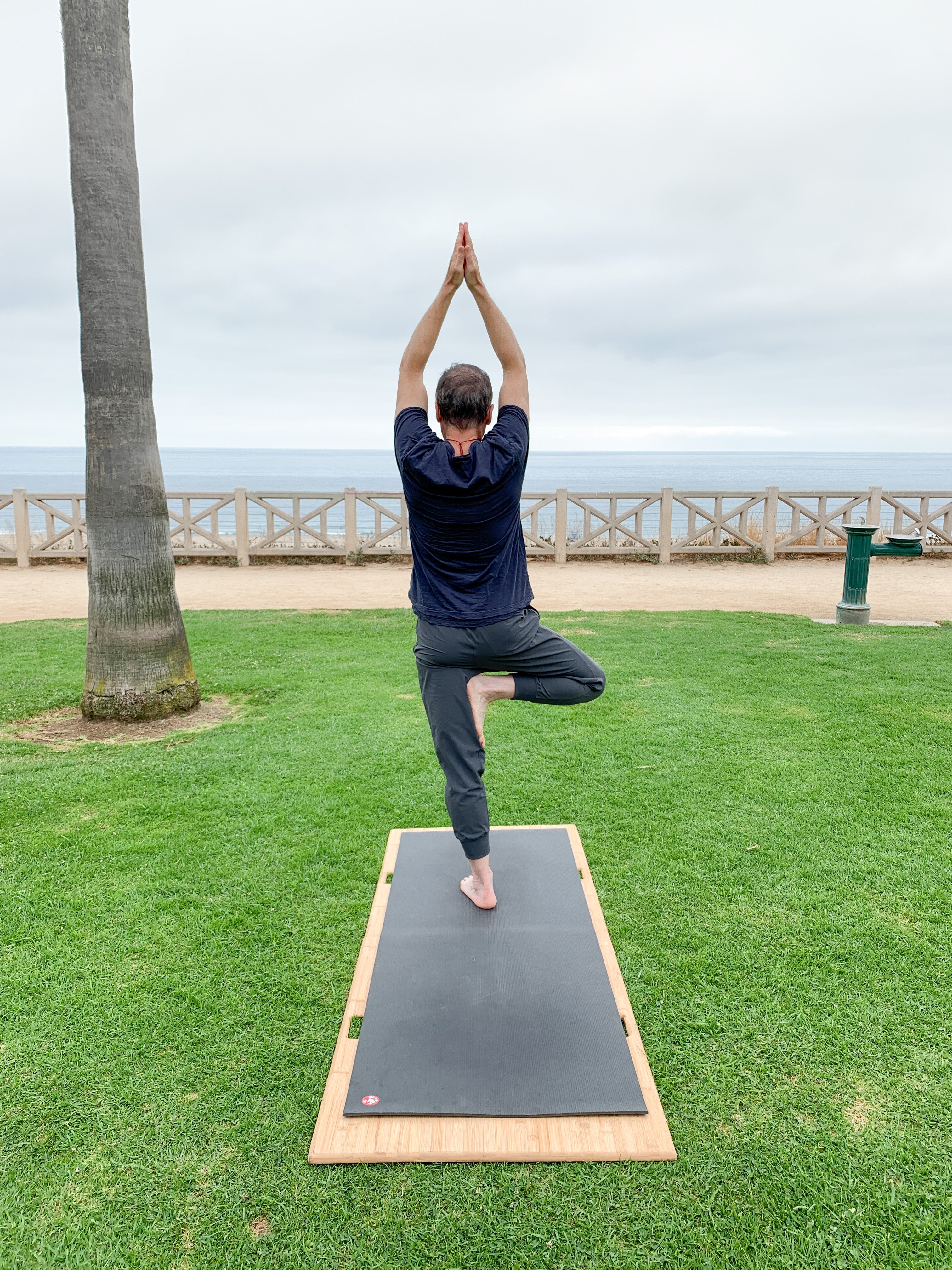 man in tree pose using Root Board on park grass overlooking ocean